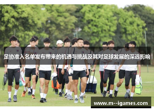 足协准入名单发布带来的机遇与挑战及其对足球发展的深远影响